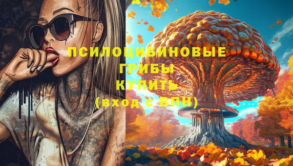 бутират Алзамай