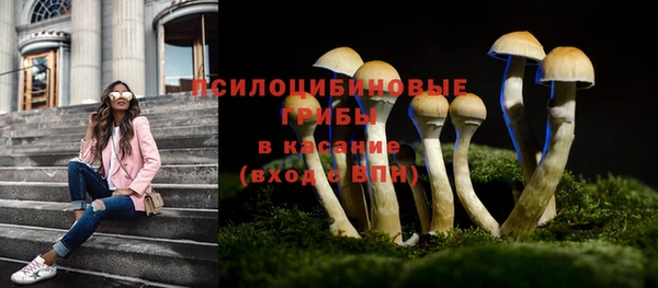 бутират Алзамай