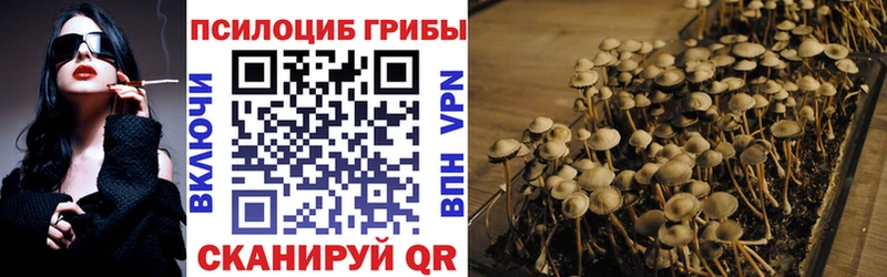 Псилоцибиновые грибы Psilocybine cubensis  Могоча 